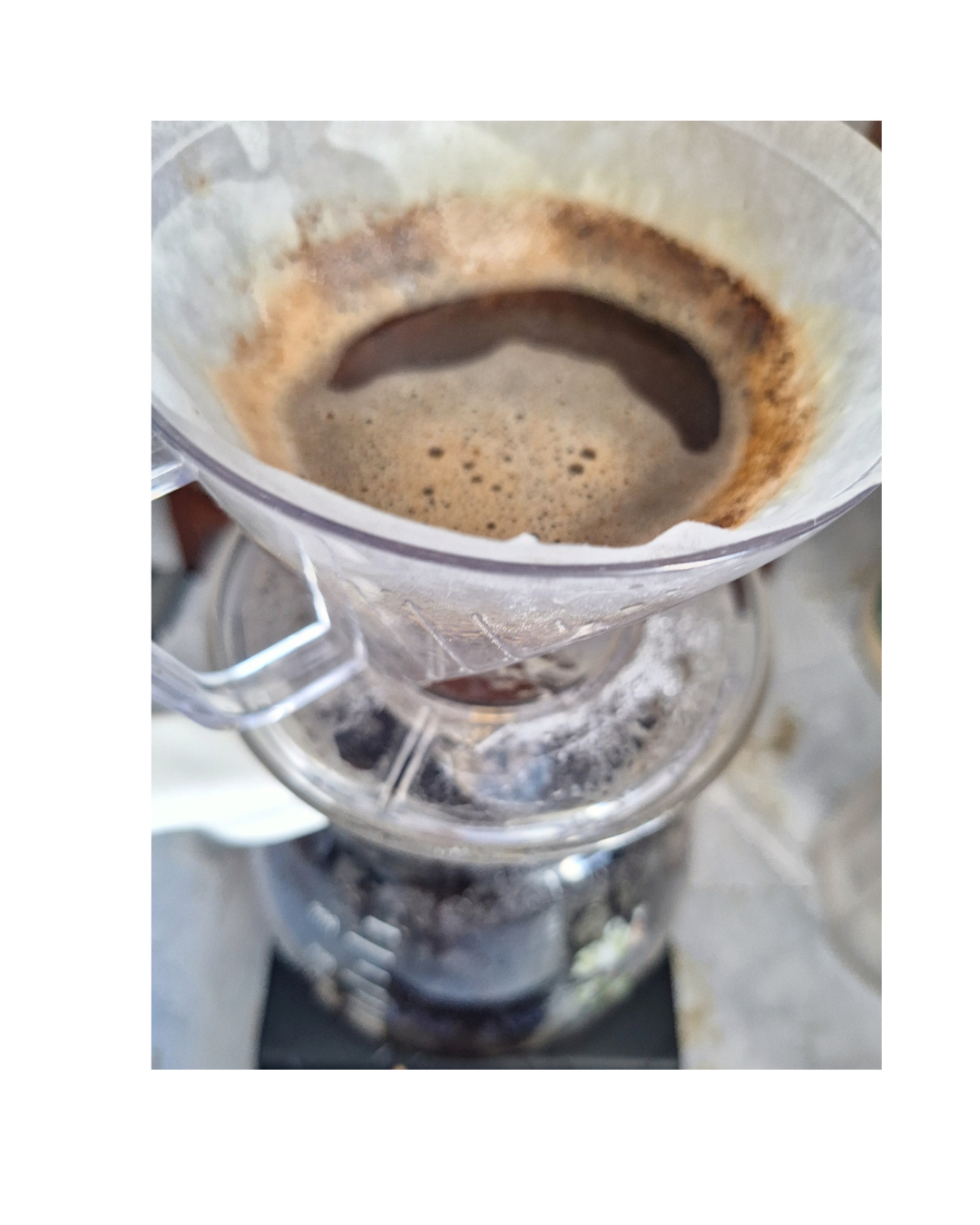 Mountain Pause — Bolivia Yungas Coffee Beans | 200g